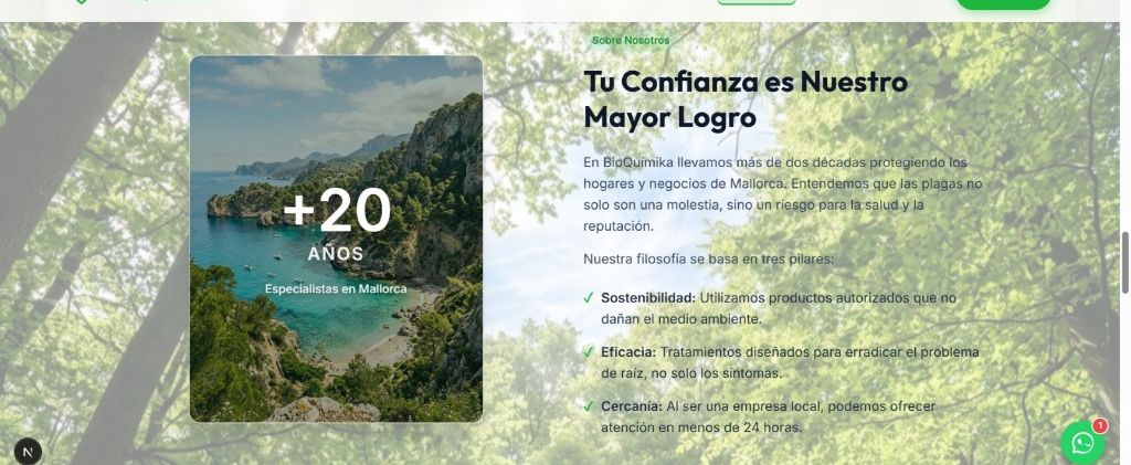 Nuevo Diseño 6